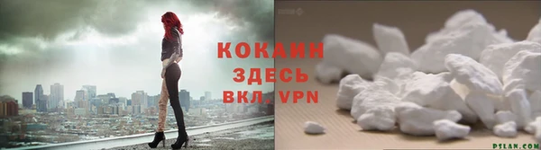 прущие грибы Артём