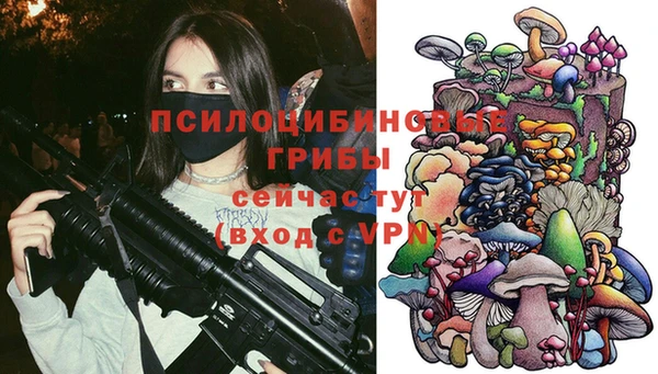 гидропоника Магас